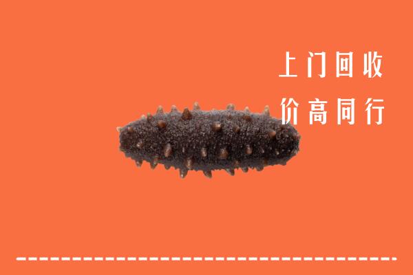 杭州高价回收海参